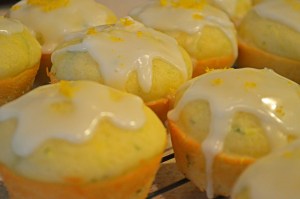 lemonzuchinnimuffins