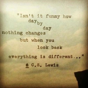 day-by-day-cs-lewis-picture-quote